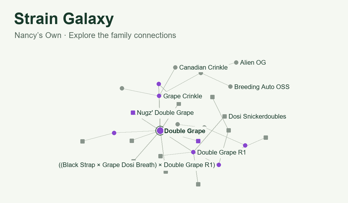 Preview of the Strain Galaxy showing Double Grape and related Nancy’s Own strains